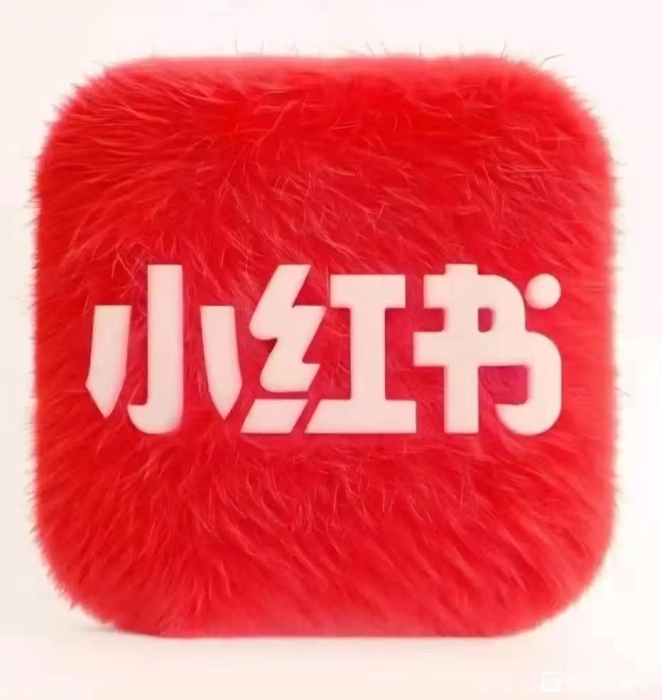 XHS-真人粉丝（初始5W以上专用通道）
