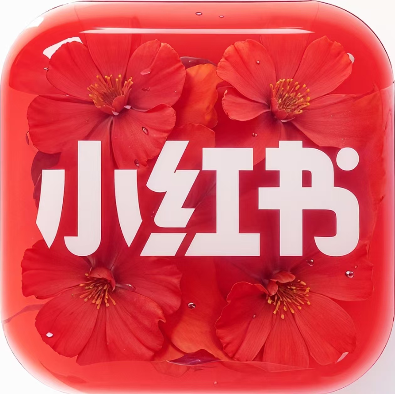 自营-XHS独家宝妈粉（初始万以下）